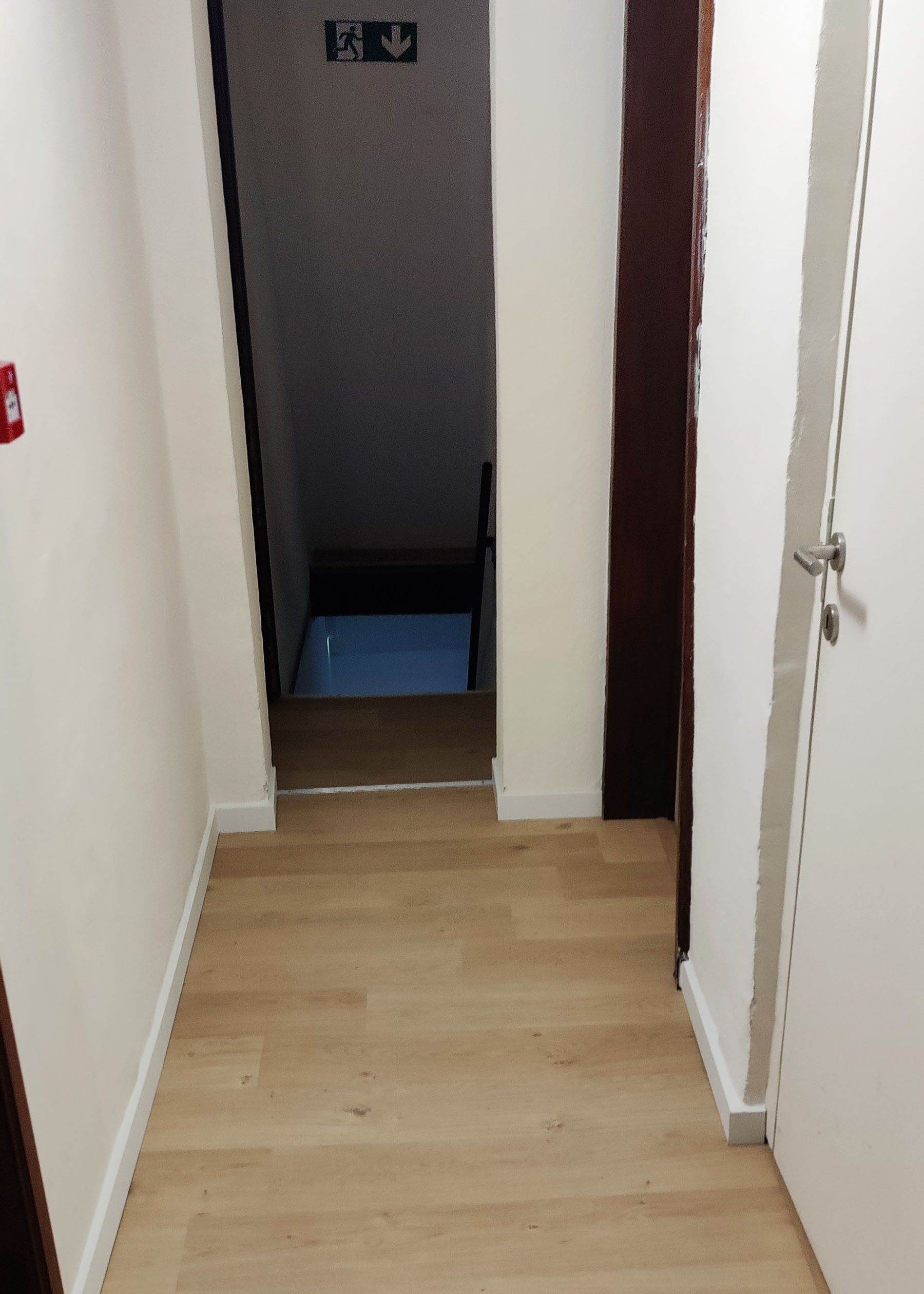 IMG_20240927_110409 copia